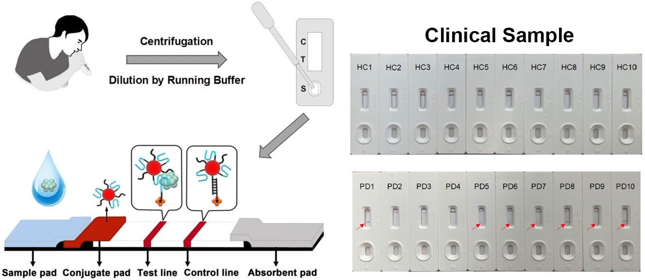 Microchimica Acta 2025.jpg